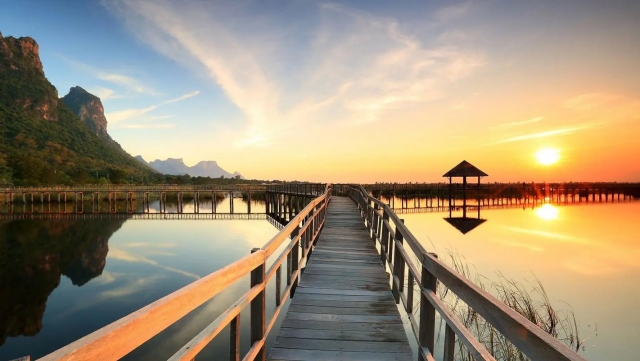 bat365中国：园林绿化夏天可以施肥吗