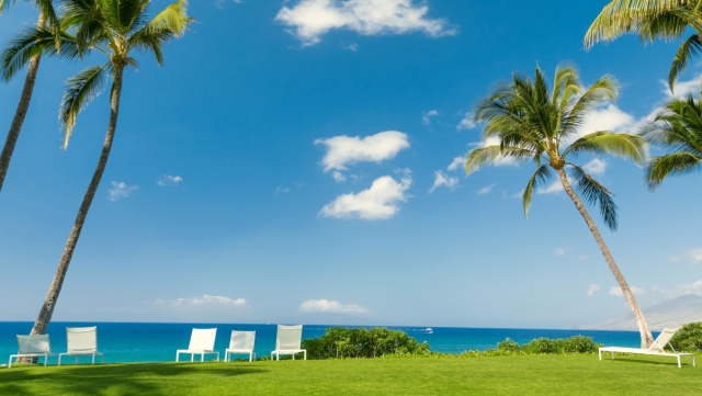 bat365中国：园林绿化树杜鹃