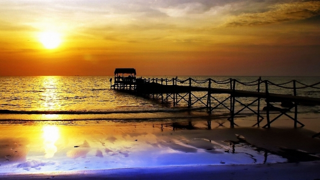 bat365公司：园林绿化低矮树种