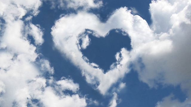 bat365集团：园林绿化的树木花