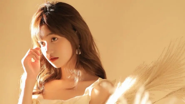 园林绿化苗木一