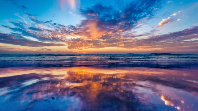 园林绿化用什么土球