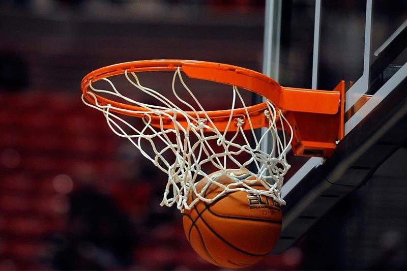 bat365：园林绿化虫害农药