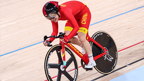 bat365集团：园林绿化提供