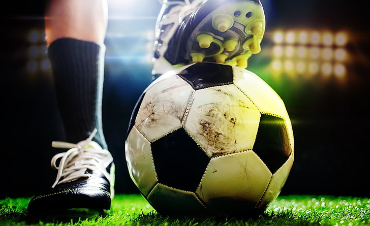 bat365：金昌工业园区绿化工程项目